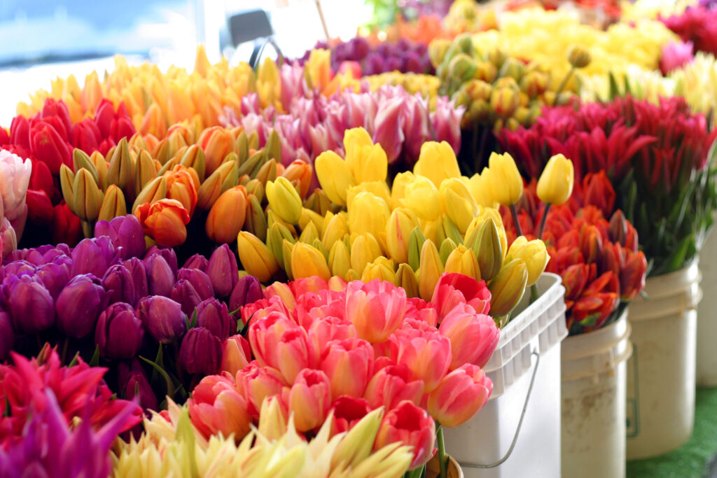 How to Choose a Flower Bouquet to Perfectly Express Yourself